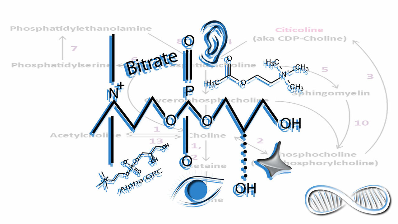 Choline vs Alpha GPC: Smart Drugs of Many Talents That EVERY Brain Needs