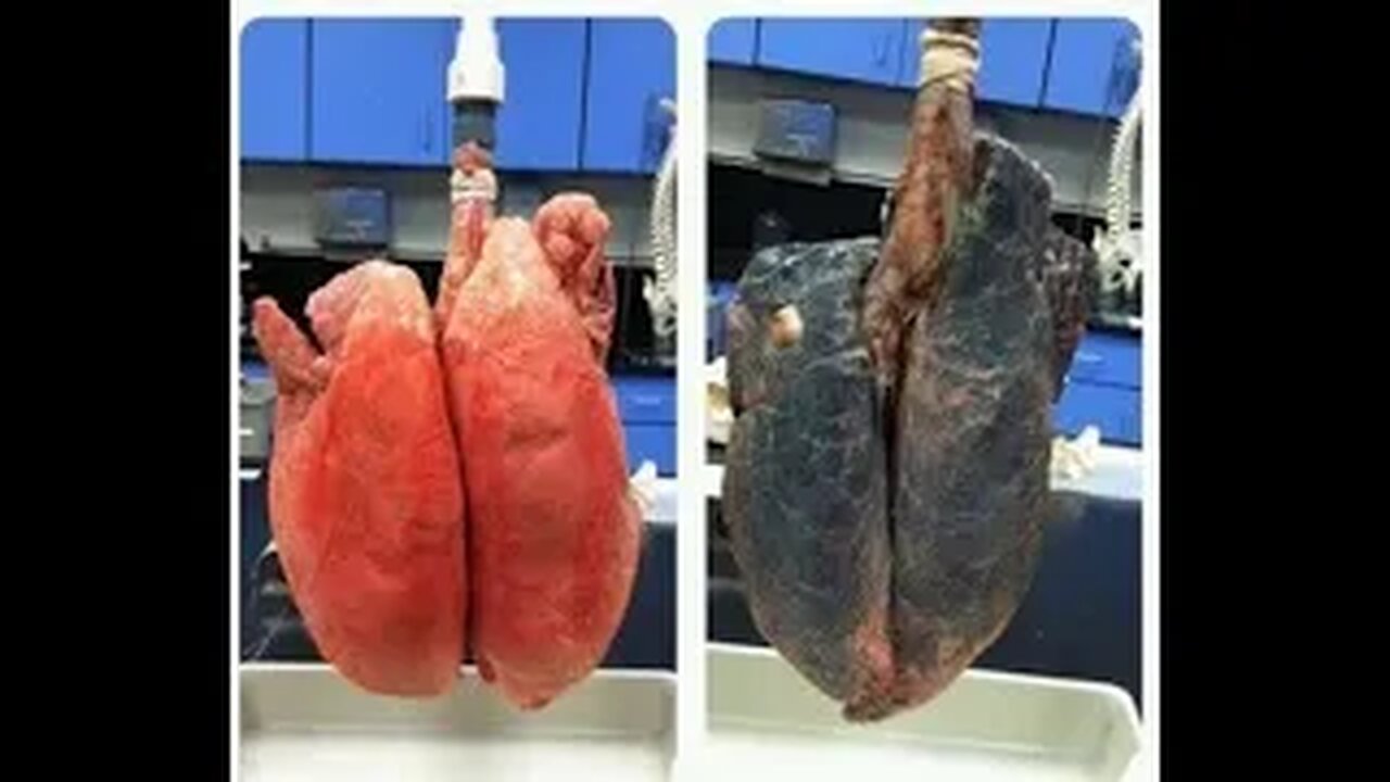 Clean Your Lungs