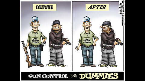 Connecticut Gun Laws are Treason by Enemy within.