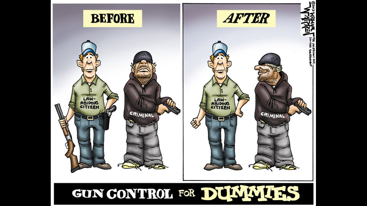 Connecticut Gun Laws are Treason by Enemy within.