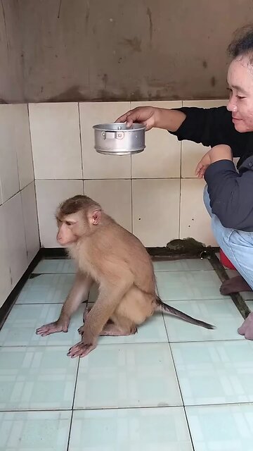 Best SokYaa, OG, Pao & Mom Are Videomous Around The World #shorts #anime #trend #edit