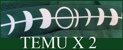 TEMU X 2