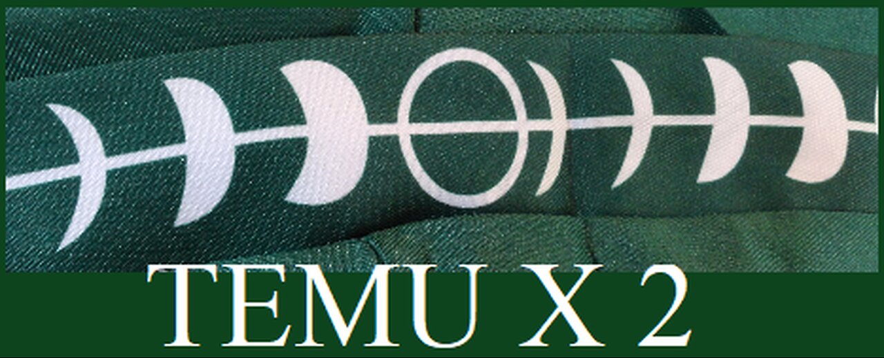 TEMU X 2