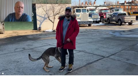 Miracle K9 - Going "Bonkers" with Balanced Dog Training - Pt 8