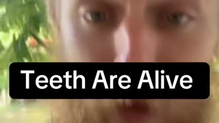 Teeth Are Alive