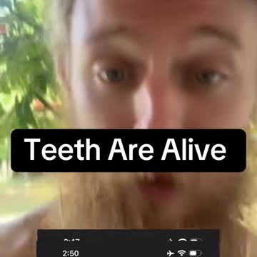 Teeth Are Alive