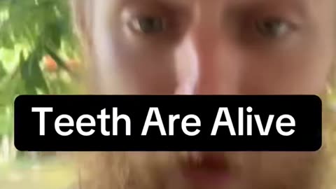 Teeth Are Alive