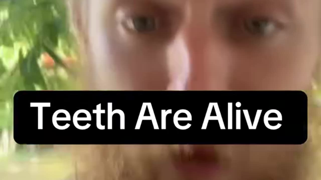 Teeth Are Alive