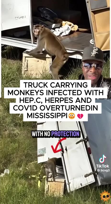 LAB MONKEYS 🐵🐒🙊