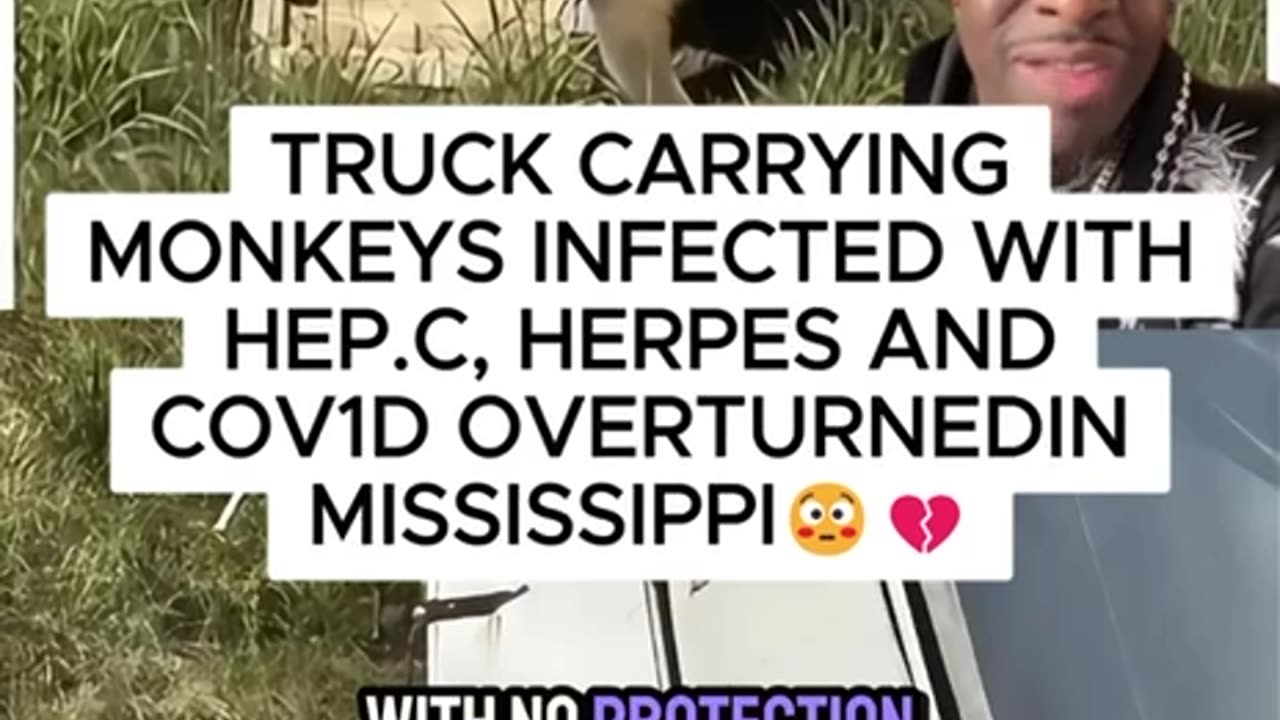 LAB MONKEYS 🐵🐒🙊