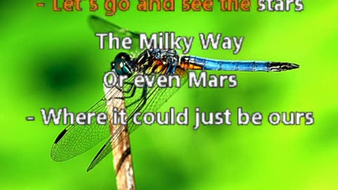 Karaoke - Lenny Kravitz - Fly Away