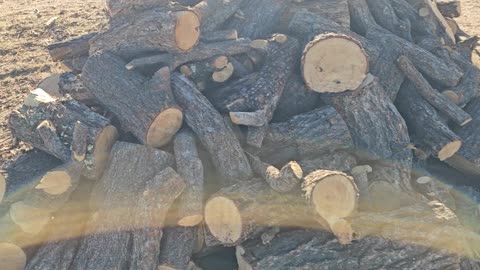 Review CENTRAL MACHINERY 10 Ton Hydraulic Log Splitter