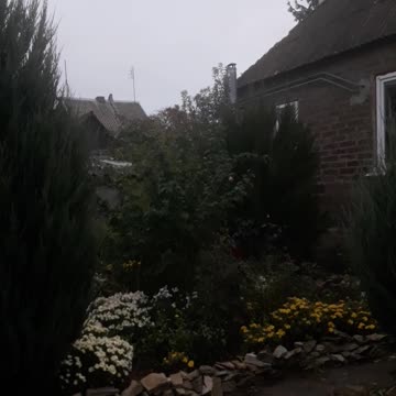 Garden in cold weather