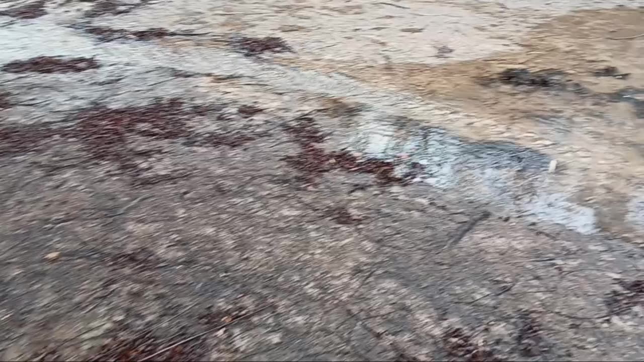 Ice storm of 2025!!!