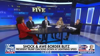 Why 'The Five's' Greg Gutfeld finds the existence of sanctuary cities 'hilarious'