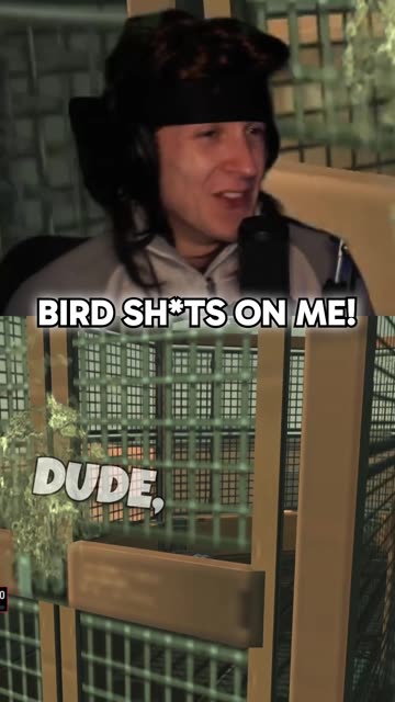 Bird shit on my face...