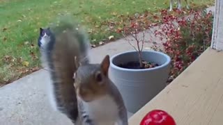 😂🤯 You Won't Believe What Happens Next! | FunFM