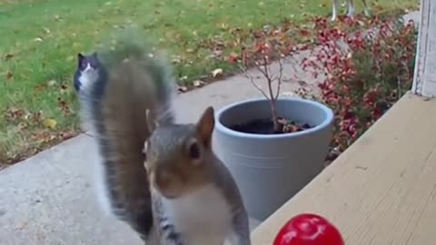 😂🤯 You Won't Believe What Happens Next! | FunFM