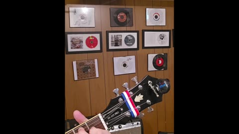 Snark orginal tuner.