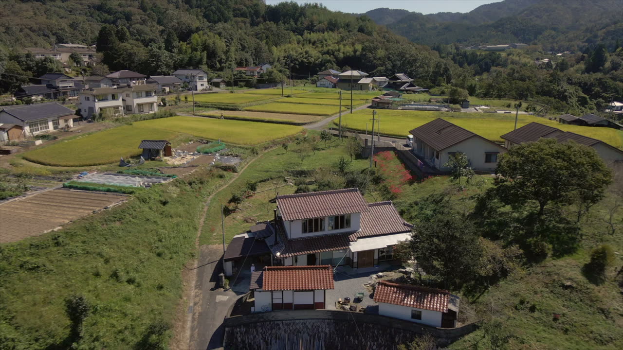 Inspecting my house in rural Japan after a heavy rain - what to look for when buying an akiya