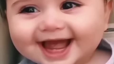 Baby cat funny video