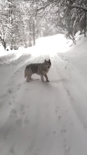 Snow showers on demand 😊