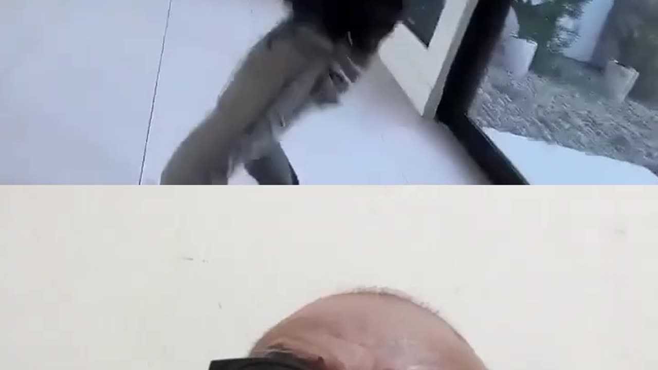 (7). Reaksi Video Viral