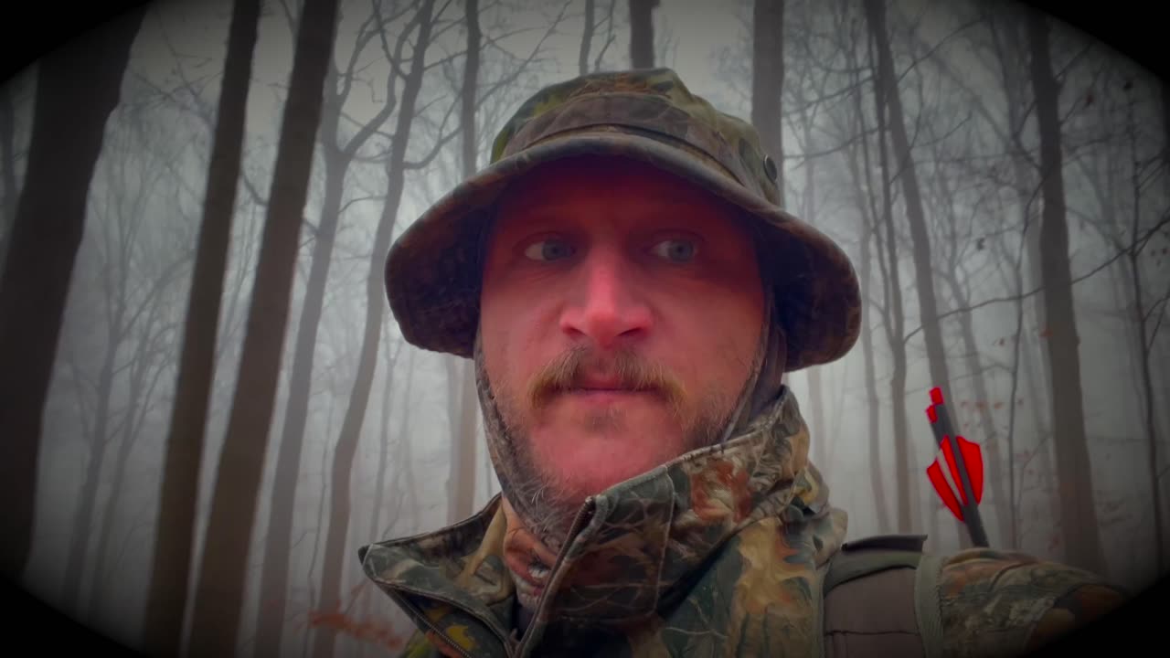 Archery Hunt 2025 4K