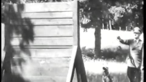 German Newsreel 679 - September 8, 1943