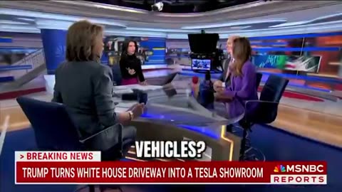 Dem Strategist Slams Trump-Musk Tesla Stunt as Illegal and Pointless: 'His Supporters Can't Afford'