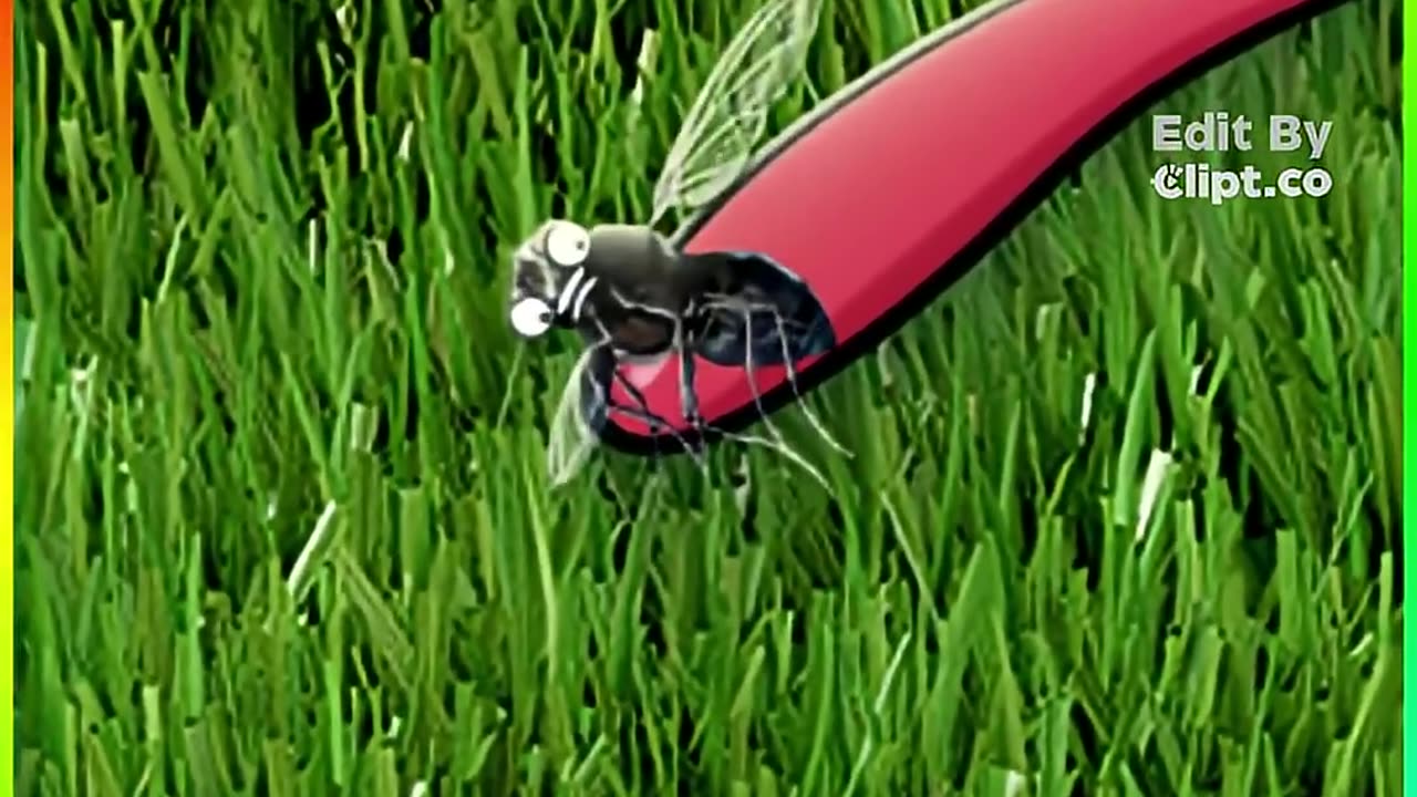 🧠✨ How Frogs Use Their Eyes To Swallow — Mind-Blowing Animal Trick! | FeedMyCuriosity