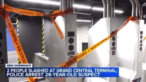 Two People Slashed at NYC's Grand Central Station on Christmas Eve