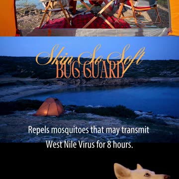 Skin So Soft Bug Guard Plus IR3535® Expedition™ Aerosol Spray SPF 28