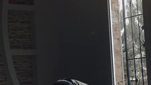 দোয়া হলো মুমিনের অস্ত্র