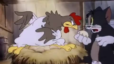 Tom and Jerry new episode 2025