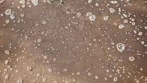 📹 #heenaprajapati → (https://youtube.com/watch?v=DTKxLlglGOY)