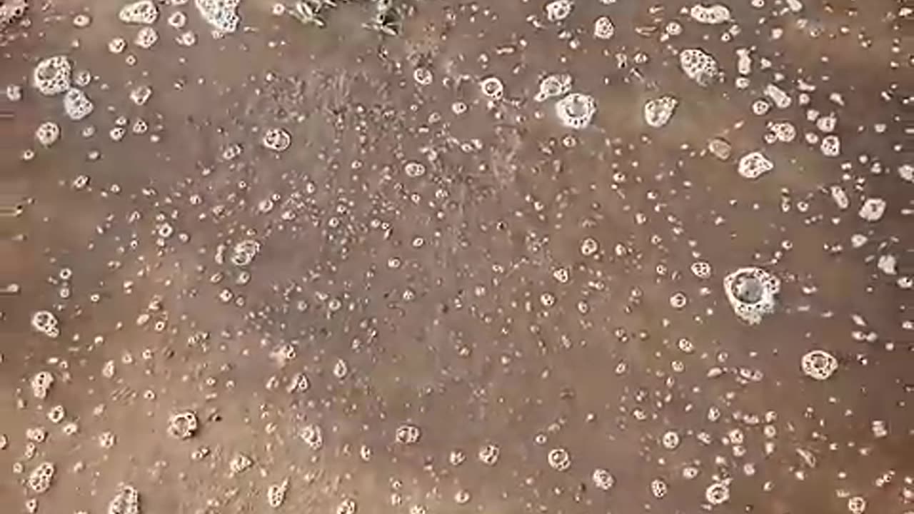 📹 #heenaprajapati → (https://youtube.com/watch?v=DTKxLlglGOY)