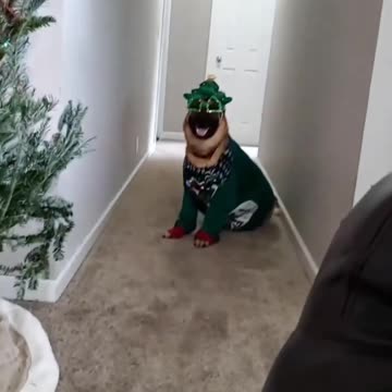 Getting into the Christmas spirit 😊