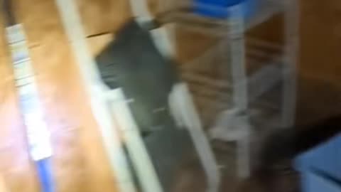 😨👻 Scary Compilation 2: From Ghosts to Demons | TheHauntingHour