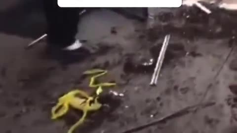 didn't AOC say that they were only stealing bread for their hungry family