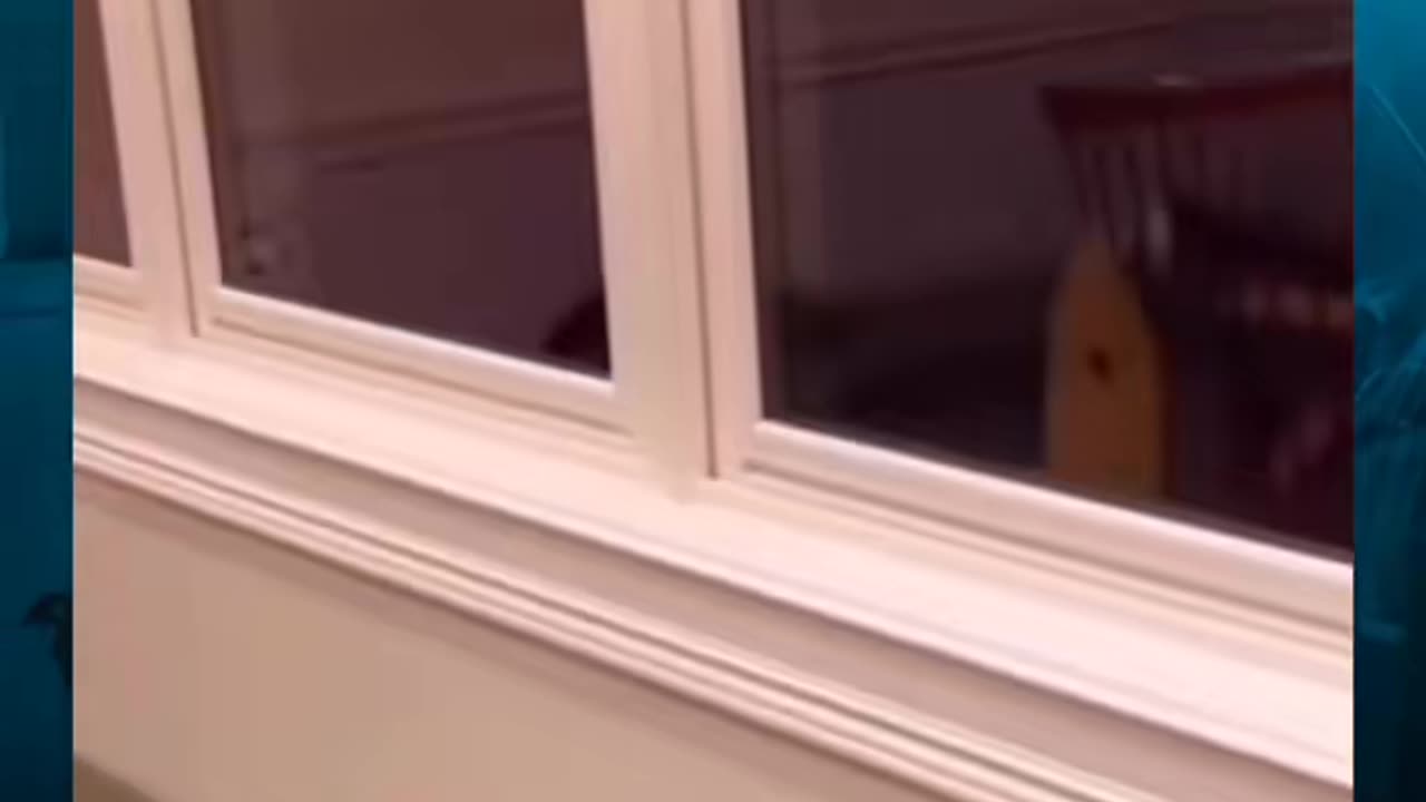 😱👻 Jinn Encounter? Terrifying Shadow Figure in the Dark! | TheHauntingHour