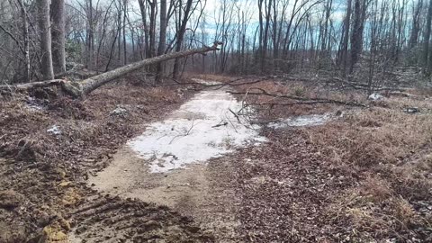 Repairing Roads - Horse Trails Part 2