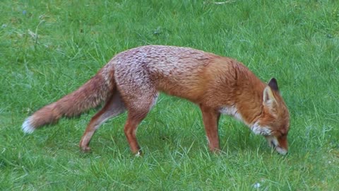 "Success is not final, failure is not fatal."