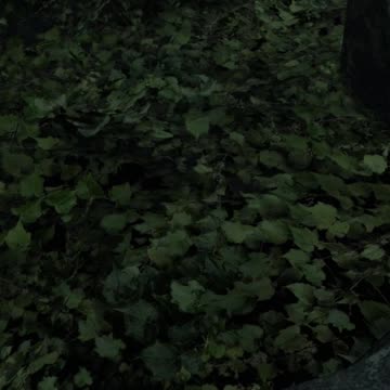 The Death Hole Of DayZ