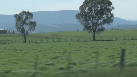 Hiding Under the Covers – Country Lyric Video Clip 🌾