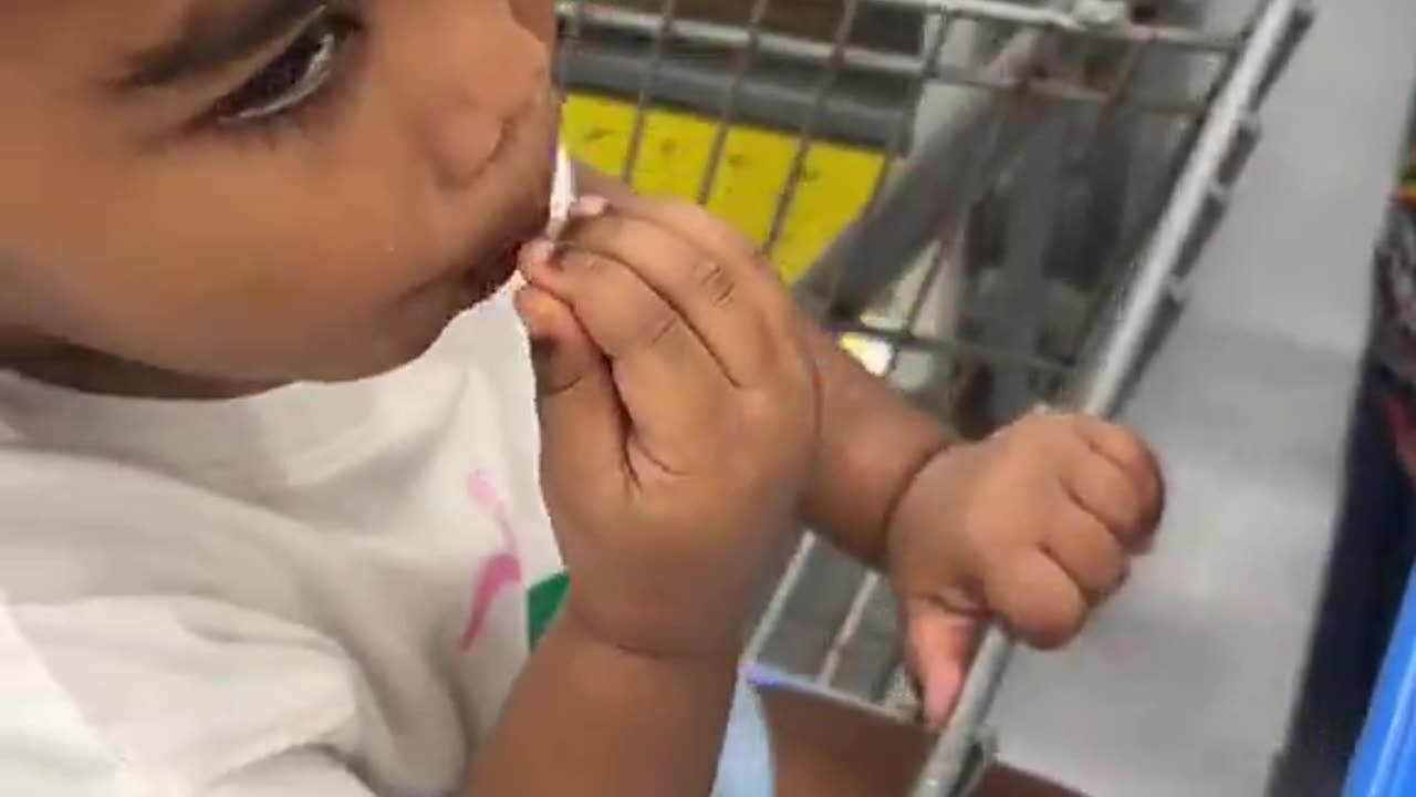 Blacks learn how to steal food