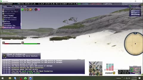 Playing Final Fantasy XI Online