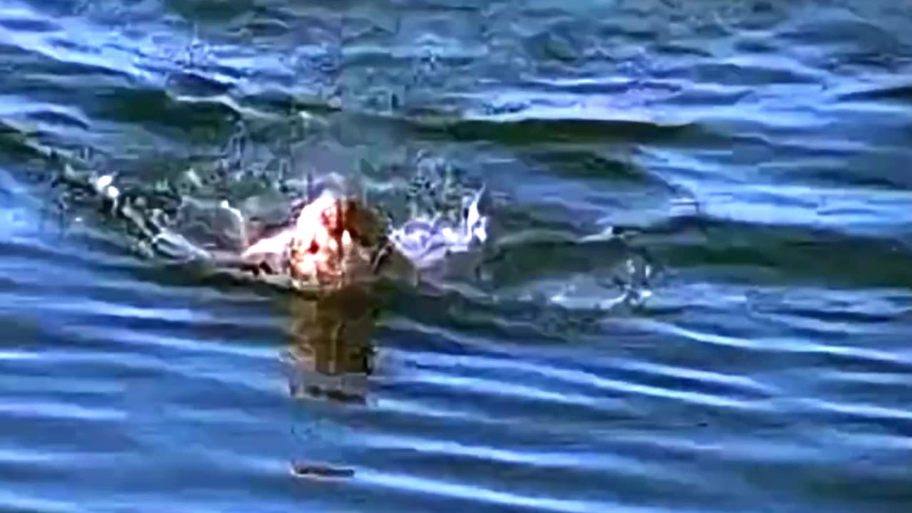 Shocking Truth- He’s a Mermaid!