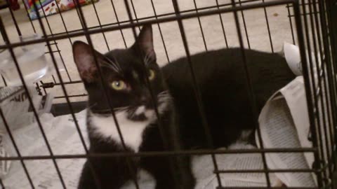 Me & Ronald & felix 11-5-2013