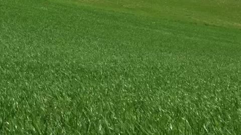 o naufragio do titanic 7.mp4